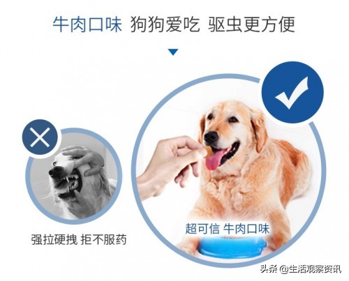 大宠爱狗狗内外一体驱虫药靠谱吗,大宠爱狗狗驱虫药推荐