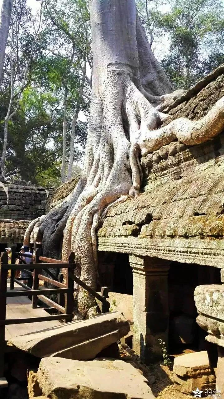 越南柬埔寨吴哥窟,越南越美2016