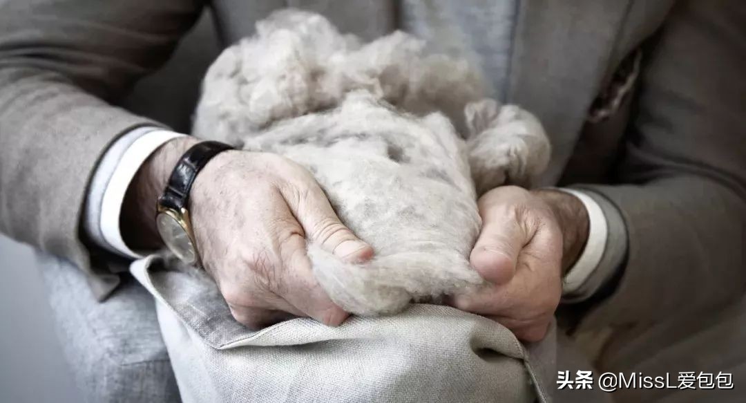 几百元的大牌包,几百块钱的大牌包包有啥