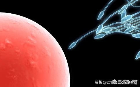 女性的安全期前七后八是什么意思,女性的前七后八是安全期吗