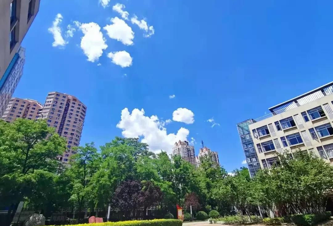 天津市高级中等学校,天津市锐华高级中学