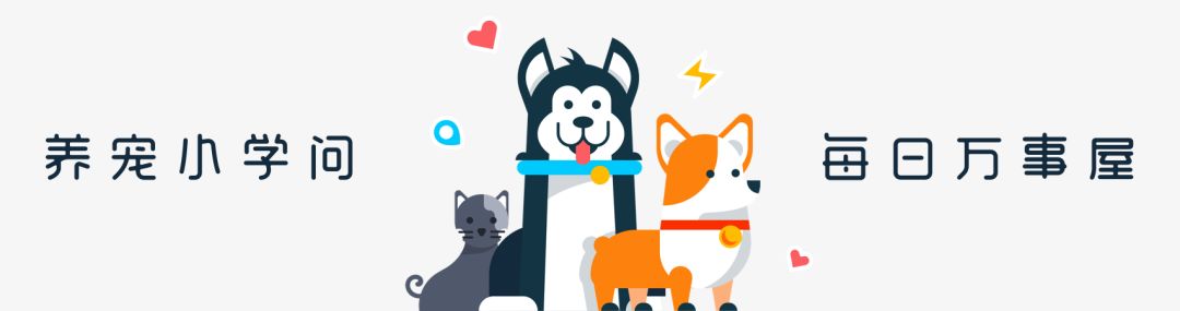 狗狗身上有异味脚还臭咋回事,狗狗身上有异味跟狗粮有关系吗