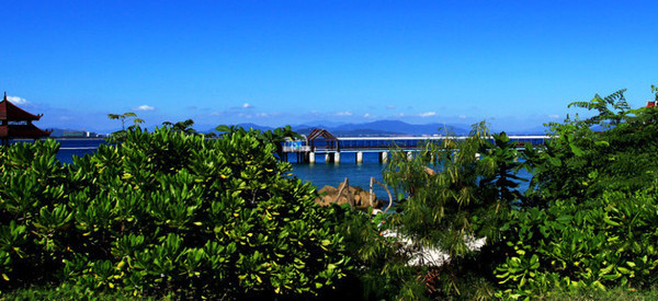 我的海南之旅作文,从海口到三亚感受海南的无限魅力