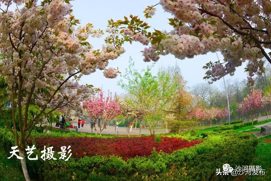 【我与祖国共成长】沙河：壮丽七十载奋进新时代（城建篇）