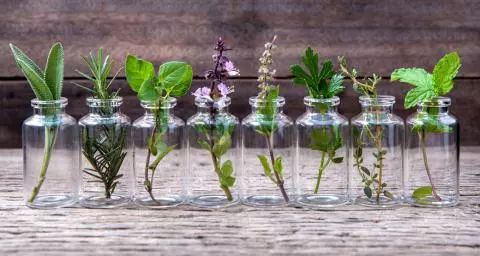 “土气”的休闲农业，正成为高端品牌争抢的“联姻”对象