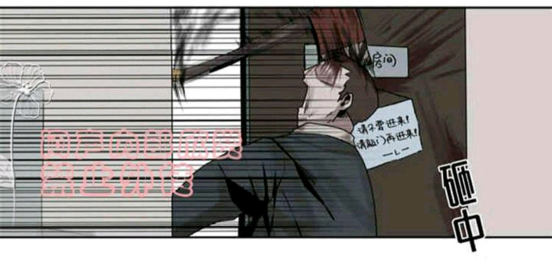 死亡之鸟的凝视第十八话完整版,死亡之鸟的凝视漫画免费