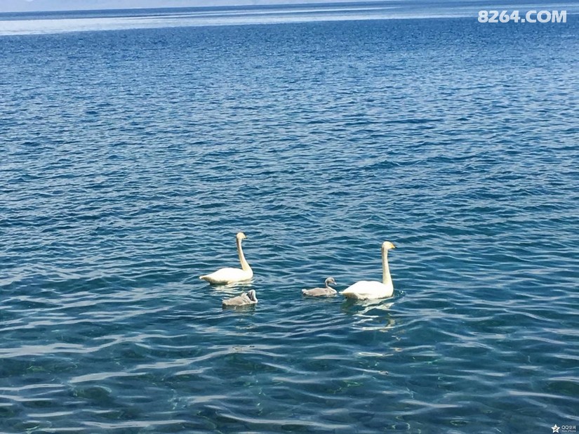 北疆骑行最佳路线一周,骑行伊犁独库公路详细攻略