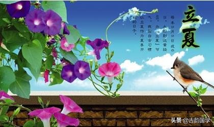 二十四节气对应一句诗句,二十四个节气二十四首诗词与配图