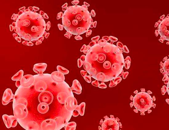 新冠病毒到现在地球上死了多少人 (新冠病毒地球一天死多少人)