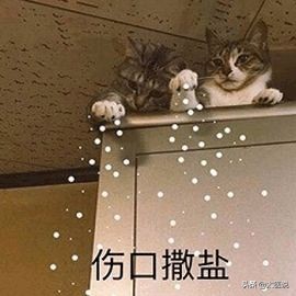 被宠物抓伤一定会得狂犬病吗,狂犬病的传播途径有什么