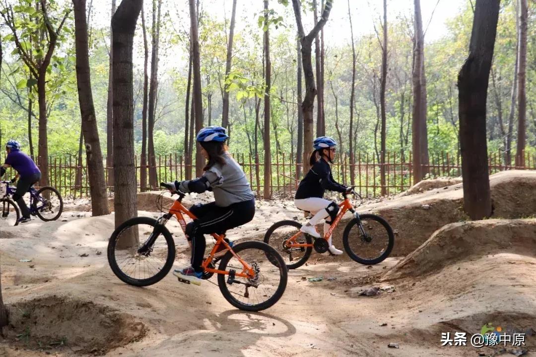 元宵喜乐会活动入口,元宵喜乐团圆美满