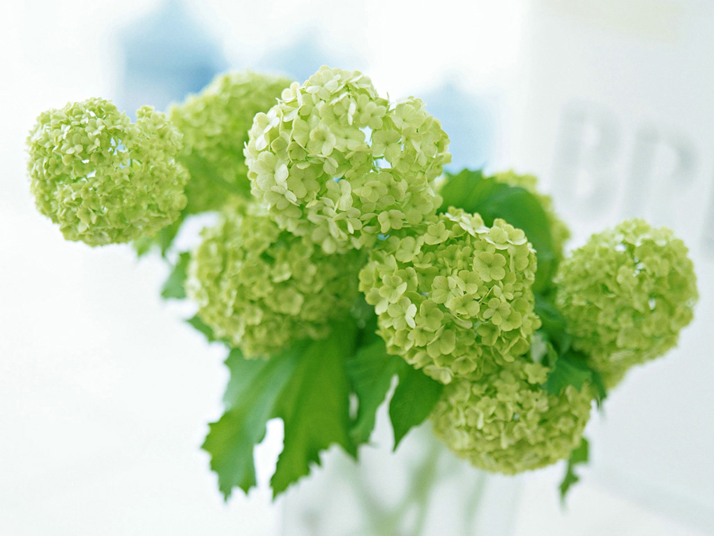 第一眼就喜欢的颜色决定你的性格,喜欢什么颜色就代表你是什么性格