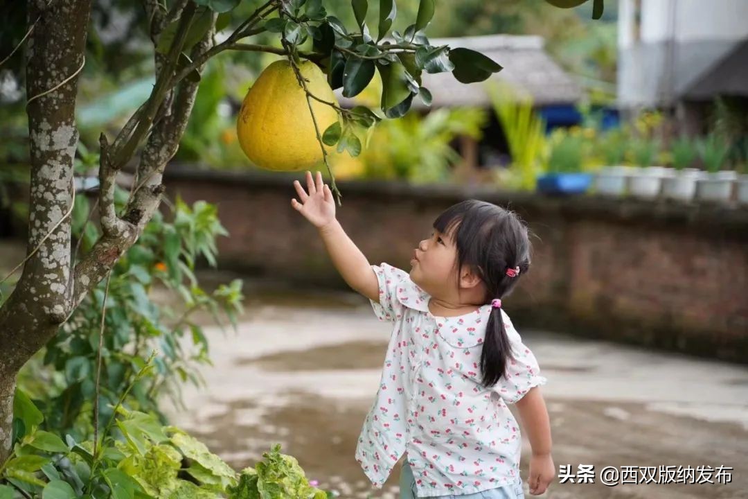 璇辨儜闅炬尅,鍕愪粦鏌氬瓙鍙堝ぇ鍙堢敎