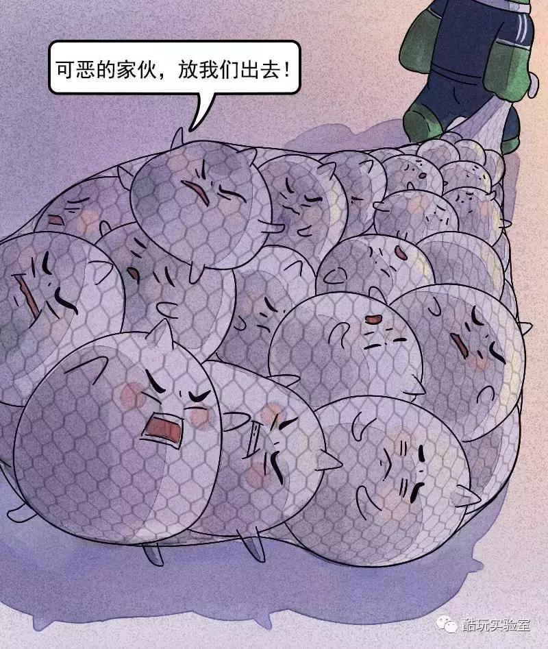 吃太多的糖会让你变胖,让你变丑变老的不是脂肪而是糖