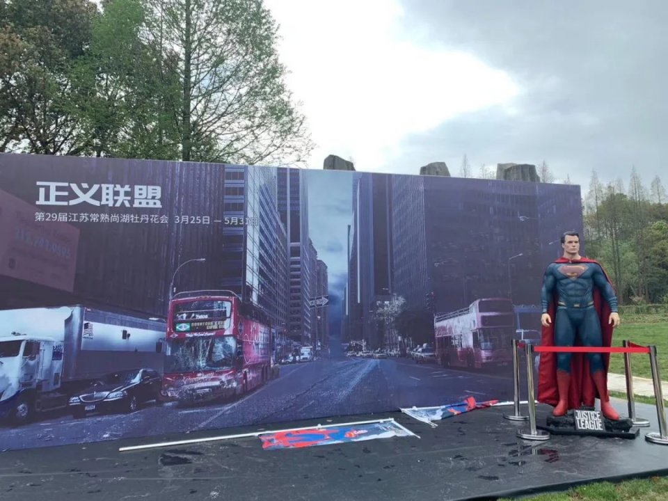 28届菏泽牡丹花会直播,38届洛阳牡丹花会直播