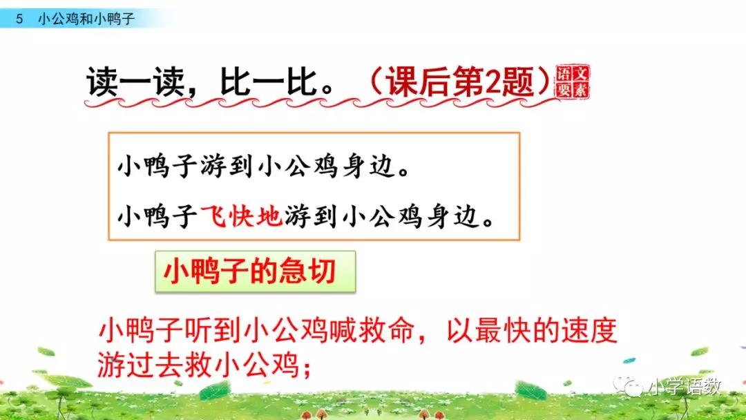 小公鸡和小鸭子一年级下册视频,一年级下语文小公鸡和小鸭子讲解