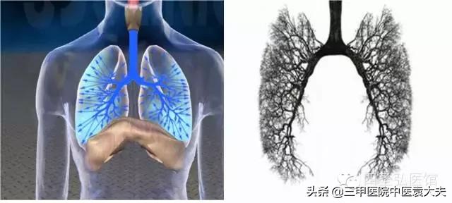 迈入中医之门第22篇：皮肤过敏