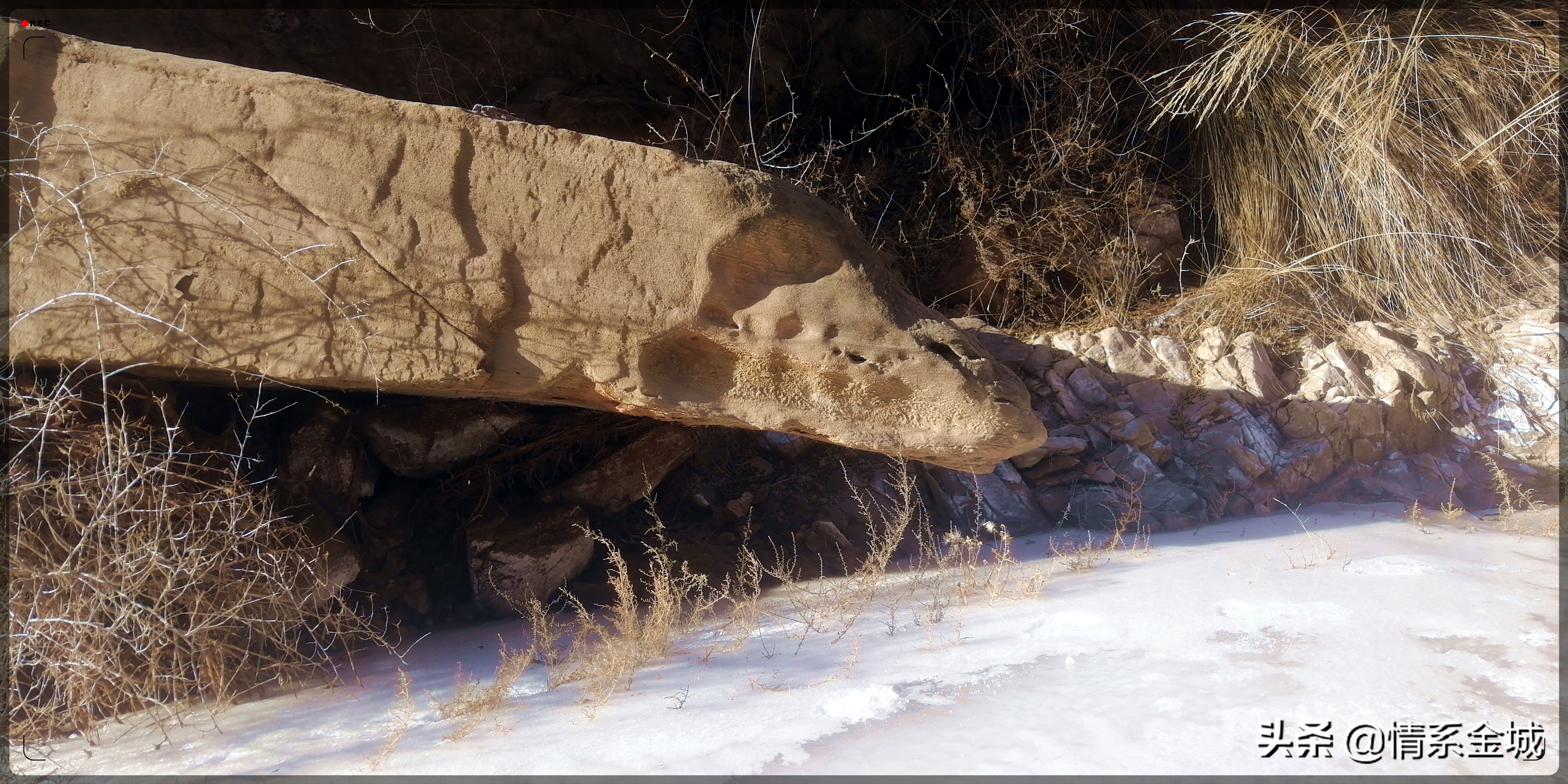 兰州冬日游最佳路线,兰州西固池沟旅游攻略