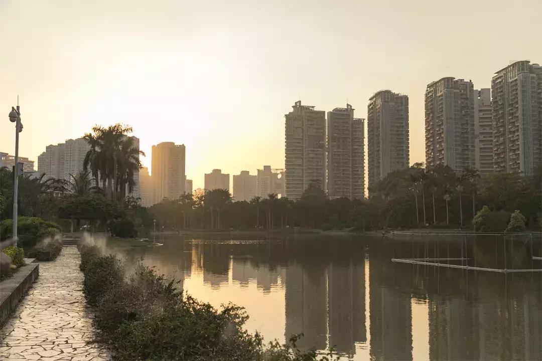 深圳大学游玩攻略一日游,深圳大学打卡攻略