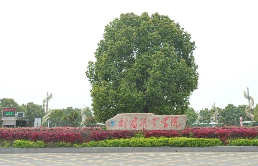 最美职业学院宿舍,最美宿舍环境