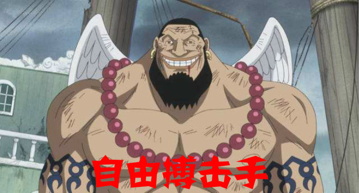 海贼王十一位超新星代表国家,海贼王中11位超新星