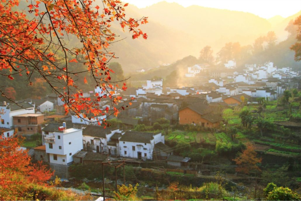 婺源篁岭赏秋,晒秋江西婺源篁岭