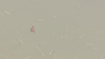 福州露营休闲放松好去处,福州温泉景区