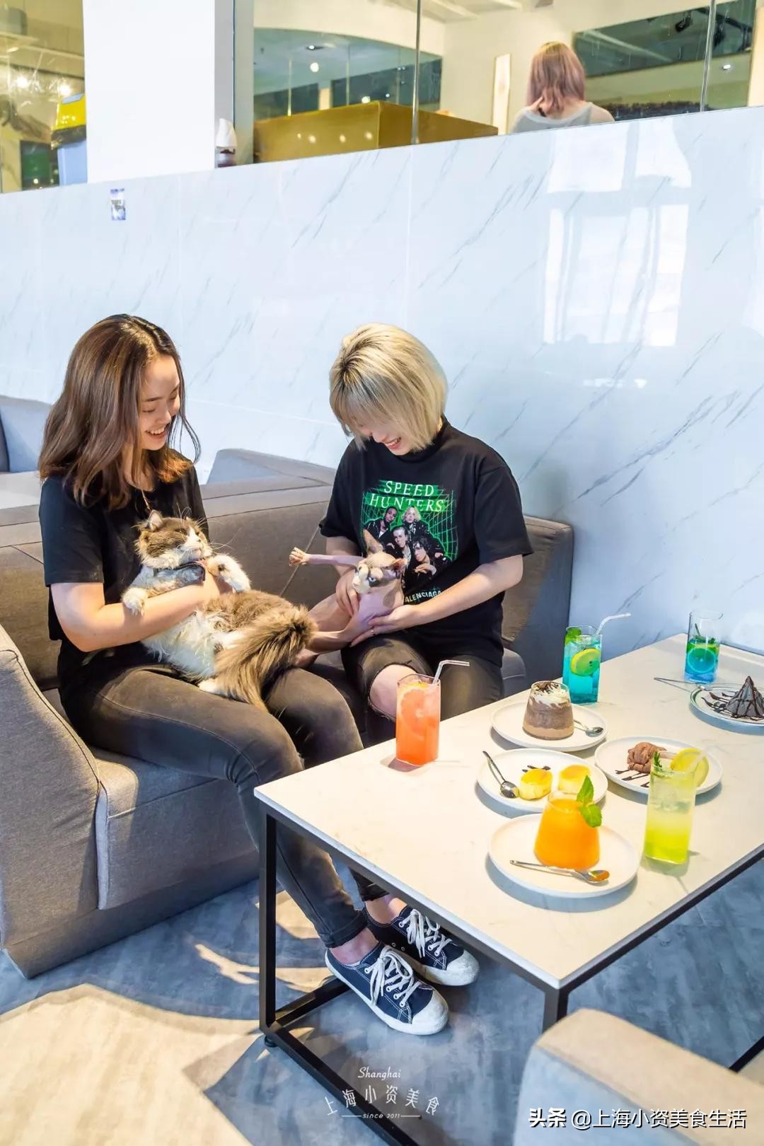 魔都哈士奇体验馆宠物咖啡,魔都哈士奇咖啡馆