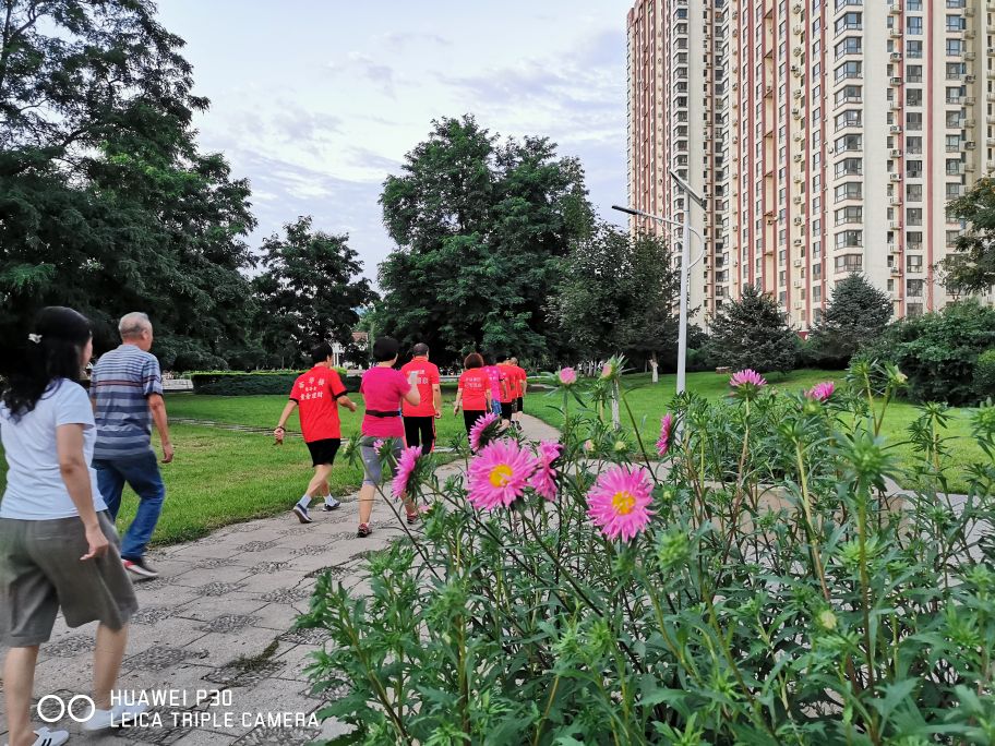 娌堥槼寮犲＋濂夎揪鍏洯,娌堥槼濂夎揪鍏洯