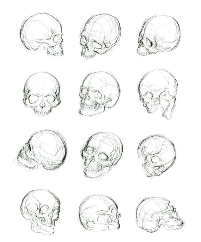 零基础人物脸的画法,人体五官细节该怎么画