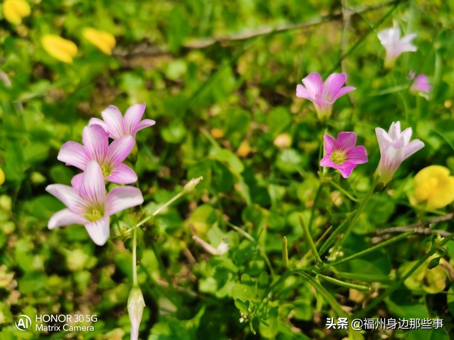 福州露营休闲放松好去处,福州温泉景区