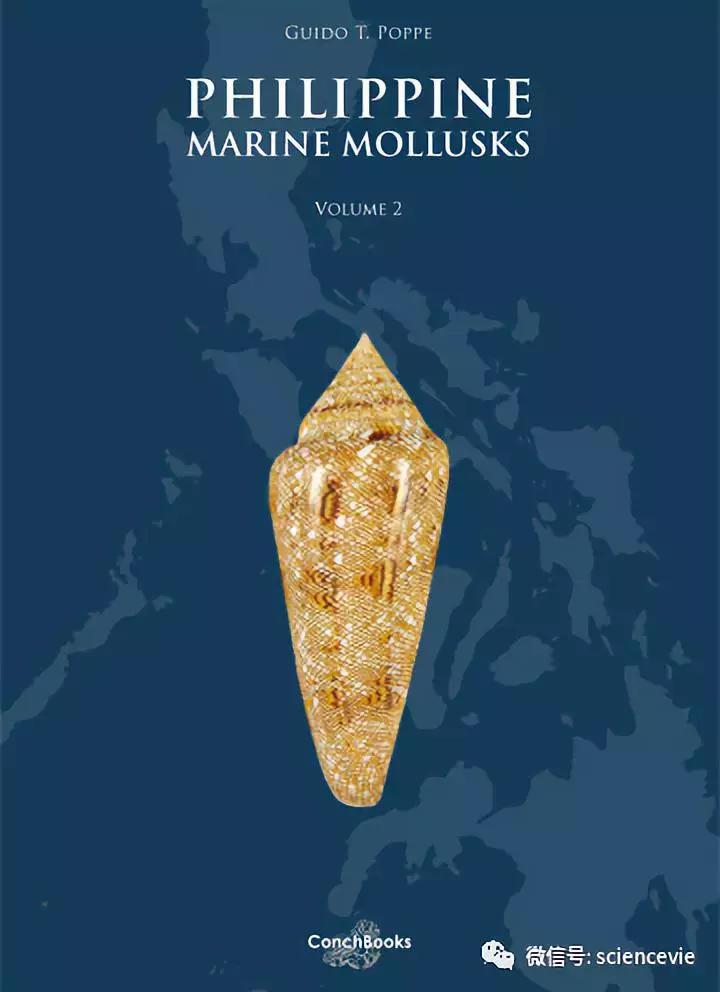 世界上最珍稀的50种贝壳,世界上最贵的贝壳排行榜