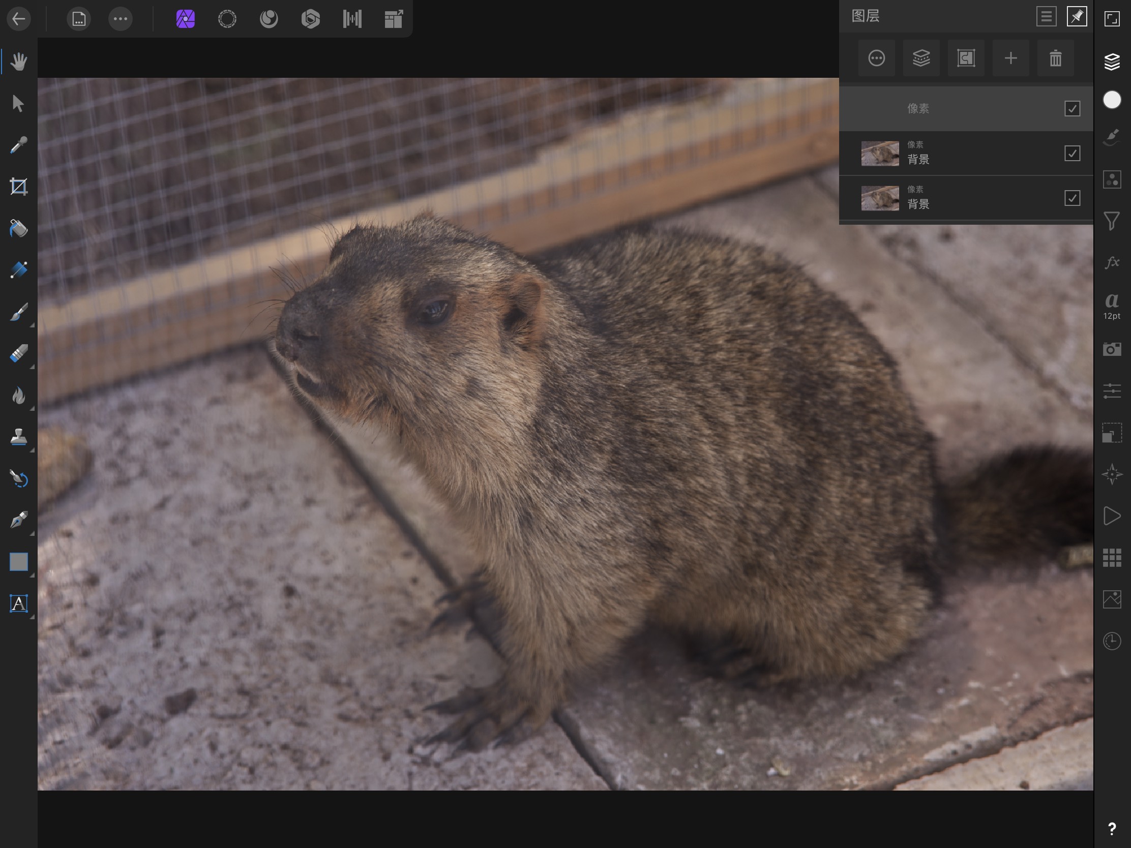 affinityphotoforipad蒙版,affinityphotoforipad