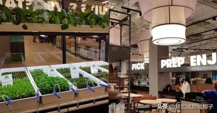 泰国超市奇葩东西,新加坡超市里的东西