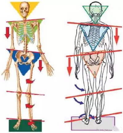 崴脚后快速恢复三个妙招轻松解决,崴脚之后的措施