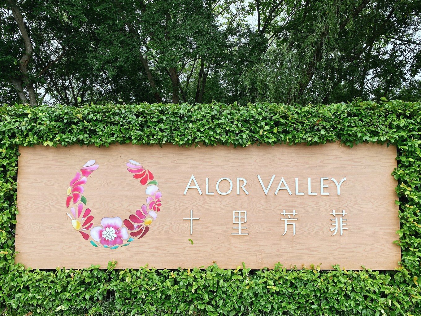 绿色世界花的海洋，在十里芳菲宠爱自己的24小时