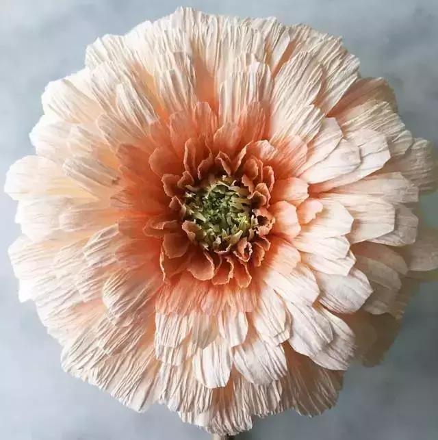 纸折立体水仙花,怎么用纸折出水仙花简单版