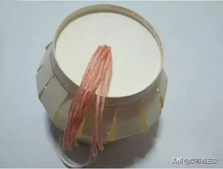 正月十五闹花灯欢乐喜庆过元宵,元宵节的灯笼和花灯怎么做