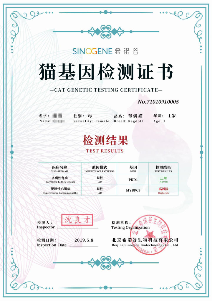 如何自己给猫咪做基因检测,猫能做基因检测吗