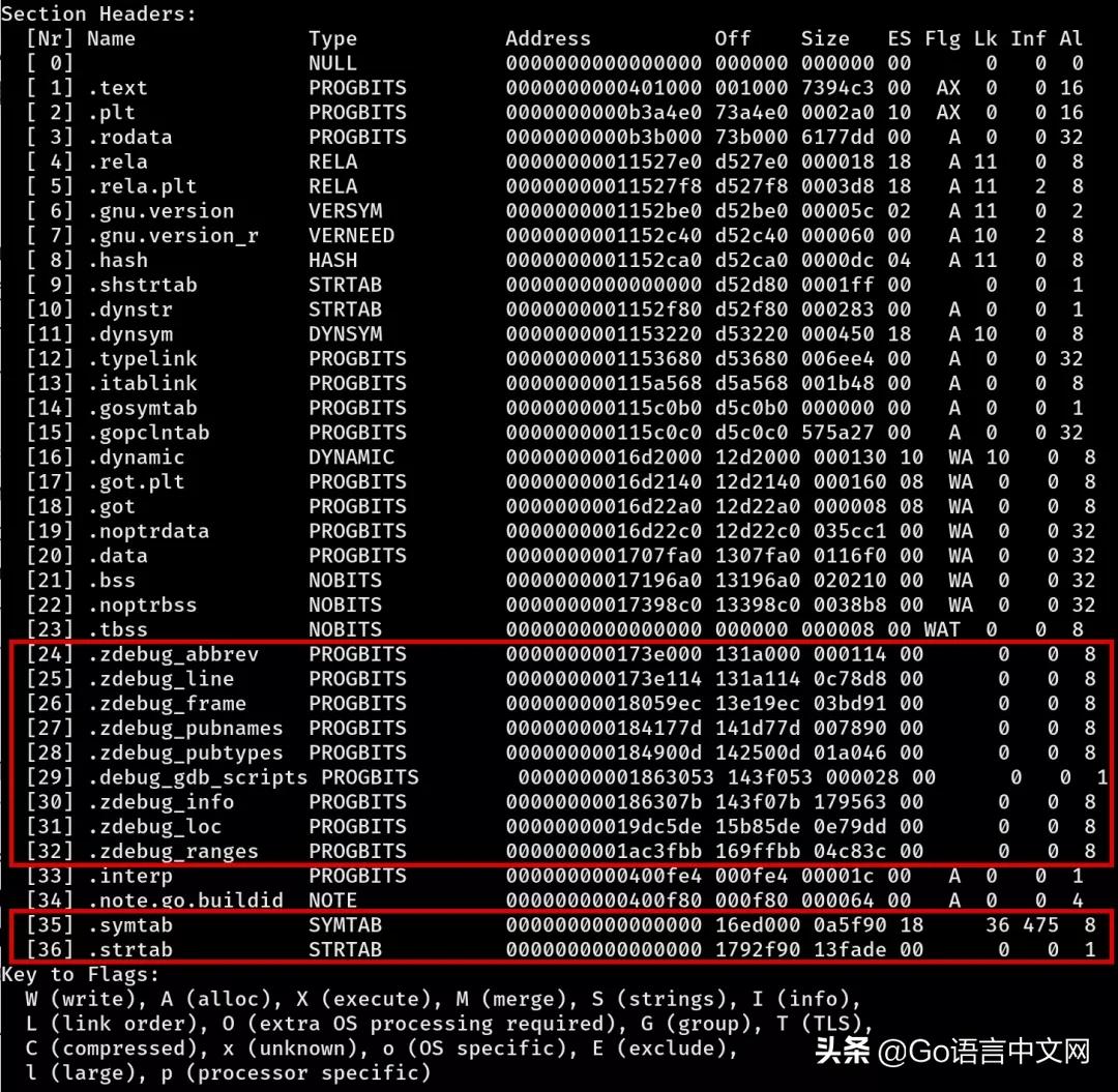 在Golang中使用-w和-s标志