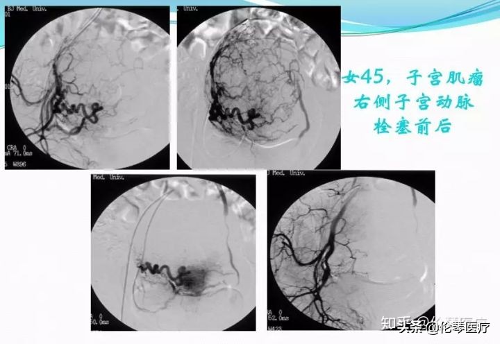 瑞金医院王忠敏,瑞金医院王忠敏简介