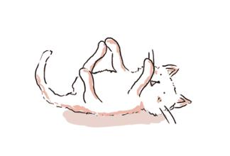 运动后小腿容易抽筋是缺钙吗,小腿抽筋缺钙吃什么补钙最好