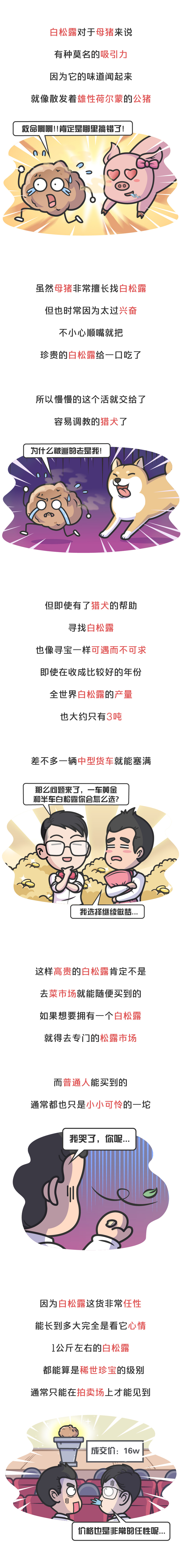 为啥白松露护肤品那么便宜,白松露真的有那么好吗