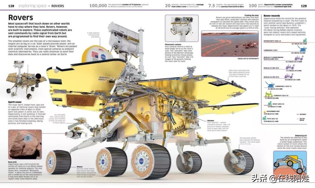 dk知识大百科全套,dk知识大百科书金银版