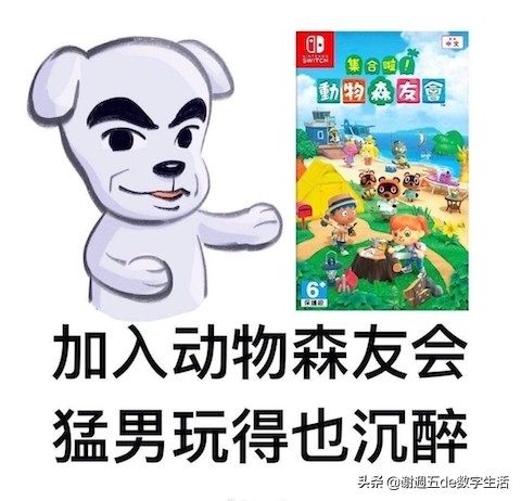 ns小白避坑系列,ns网络提速