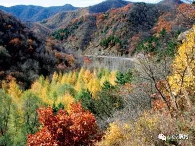 北京国家森林公园风景,画说北京故事