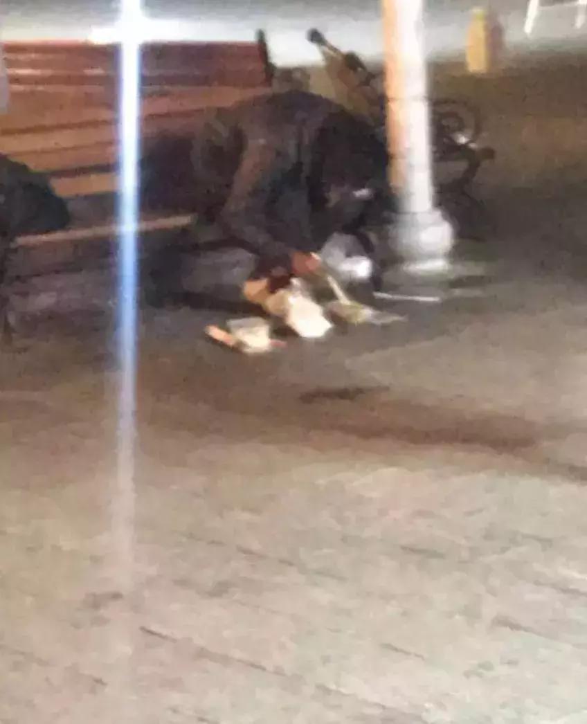 情感23张图片,23张爱与人性的照片