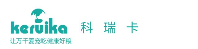 猫咪晚上不睡觉要怎么办,猫咪晚上不睡觉怎么办