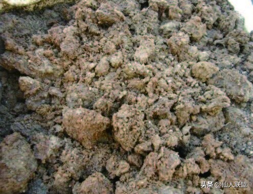 石食者THESTONEEATERS六