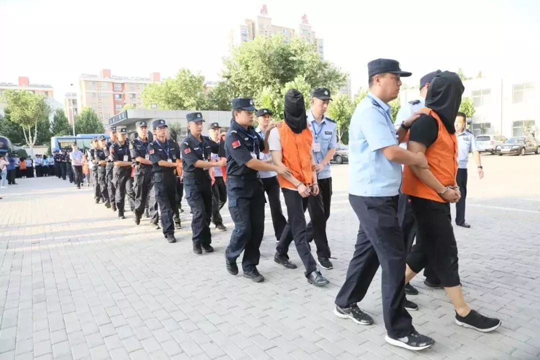 你炒股了吗完整版,警方打掉15个非法荐股团伙